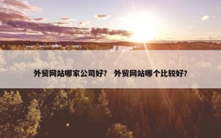 外贸网站哪家公司好？ 外贸网站哪个比较好？