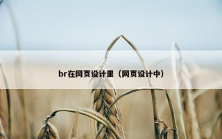 br在网页设计里（网页设计中）