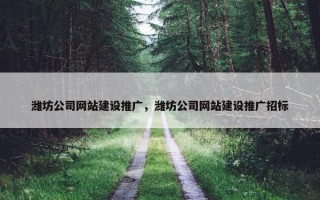 潍坊公司网站建设推广，潍坊公司网站建设推广招标