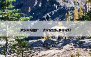 泸水网站推广，泸水企业拓展哪家好