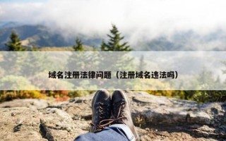 域名注册法律问题（注册域名违法吗）