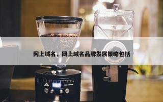 网上域名，网上域名品牌发展策略包括