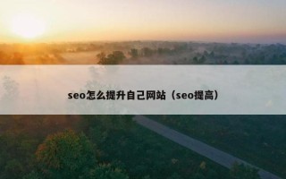 seo怎么提升自己网站（seo提高）