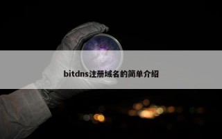 bitdns注册域名的简单介绍