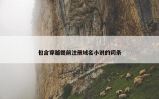 包含穿越提前注册域名小说的词条