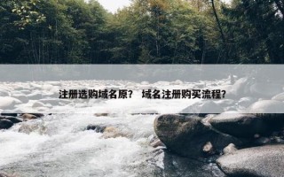 注册选购域名原？ 域名注册购买流程？