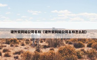 建外贸网站公司名称（建外贸网站公司名称怎么起）