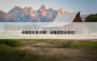 长尾优化多少钱？ 长尾词怎么优化？