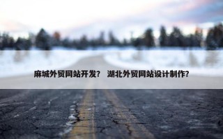 麻城外贸网站开发？ 湖北外贸网站设计制作？