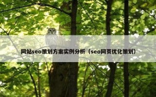 网站seo策划方案实例分析（seo网页优化策划）