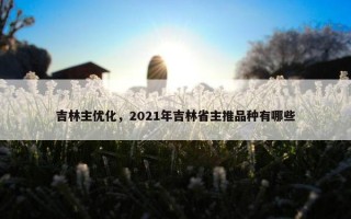 吉林主优化，2021年吉林省主推品种有哪些