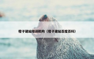 橙子建站培训机构（橙子建站百度百科）