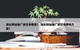湖北网站推广途径有哪些？ 湖北网站推广途径有哪些方面？