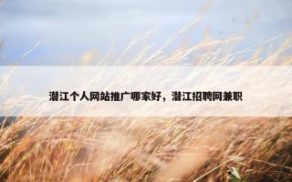 潜江个人网站推广哪家好，潜江招聘网兼职