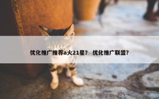 优化推广推荐a火21星？ 优化推广联盟？