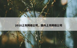 2018上市网络公司，国内上市网络公司