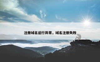 注册域名运行异常，域名注册失败
