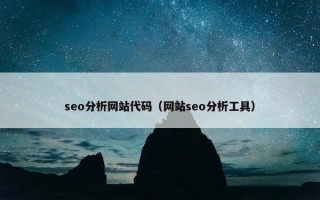 seo分析网站代码（网站seo分析工具）