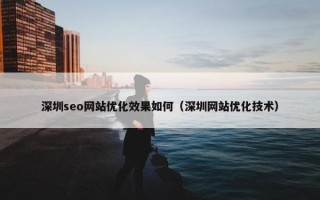 深圳seo网站优化效果如何（深圳网站优化技术）