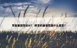 页面兼容性设计？ 网页的兼容性是什么意思？