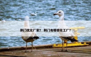 荆门优化厂家？ 荆门有哪些化工厂？