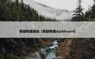 西部数据建站（西部数据dashboard）