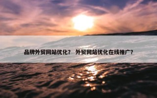 品牌外贸网站优化？ 外贸网站优化在线推广？