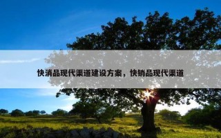 快消品现代渠道建设方案，快销品现代渠道