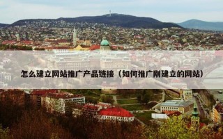 怎么建立网站推广产品链接（如何推广刚建立的网站）