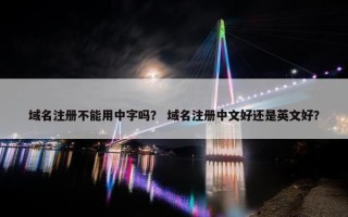 域名注册不能用中字吗？ 域名注册中文好还是英文好？