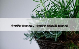 杭州爱财网络公司，杭州爱财网络科技有限公司