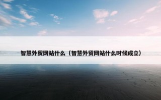 智慧外贸网站什么（智慧外贸网站什么时候成立）