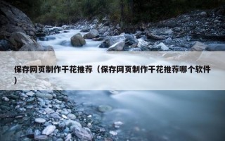 保存网页制作干花推荐（保存网页制作干花推荐哪个软件）