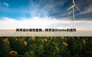 网页设计属性集锦，网页设计mate的属性