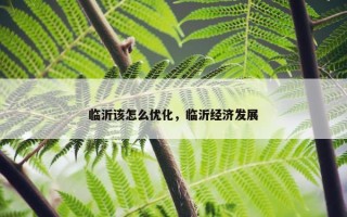 临沂该怎么优化，临沂经济发展