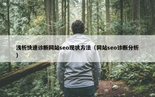 浅析快速诊断网站seo现状方法（网站seo诊断分析）
