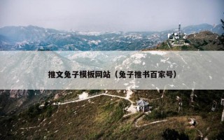推文兔子模板网站（兔子推书百家号）
