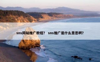 sns网站推广教程？ sns推广是什么意思啊？