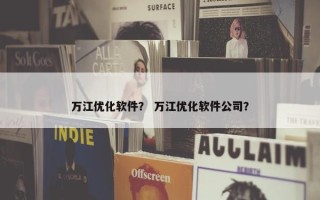 万江优化软件？ 万江优化软件公司？