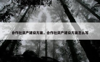 合作社资产建设方案，合作社资产建设方案怎么写