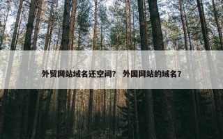 外贸网站域名还空间？ 外国网站的域名？
