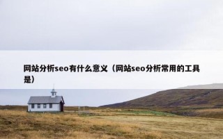 网站分析seo有什么意义（网站seo分析常用的工具是）