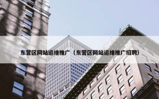 东营区网站运维推广（东营区网站运维推广招聘）