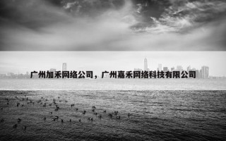 广州加禾网络公司，广州嘉禾网络科技有限公司