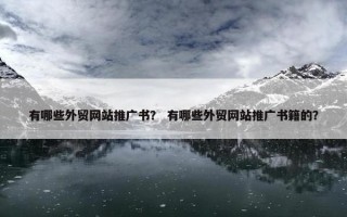 有哪些外贸网站推广书？ 有哪些外贸网站推广书籍的？