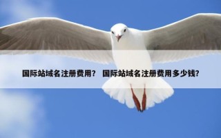 国际站域名注册费用？ 国际站域名注册费用多少钱？