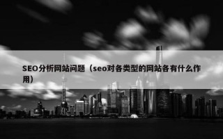 SEO分析网站问题（seo对各类型的网站各有什么作用）