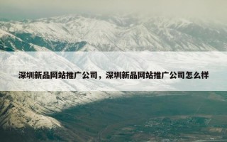 深圳新品网站推广公司，深圳新品网站推广公司怎么样