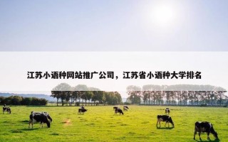 江苏小语种网站推广公司，江苏省小语种大学排名