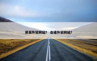 简易外贸网站？ 自建外贸网站？